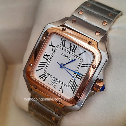 Master Silver Copper Watch